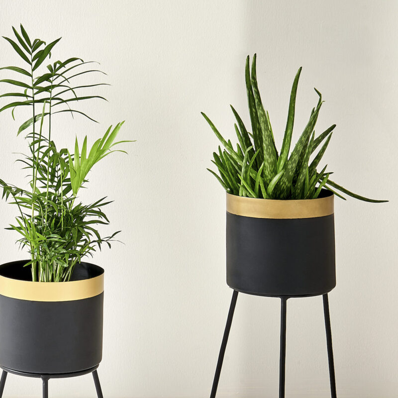 Black Metal Plant Stand Indoor - Two Sizes